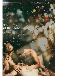 THE STORY OF THE STONE500 728